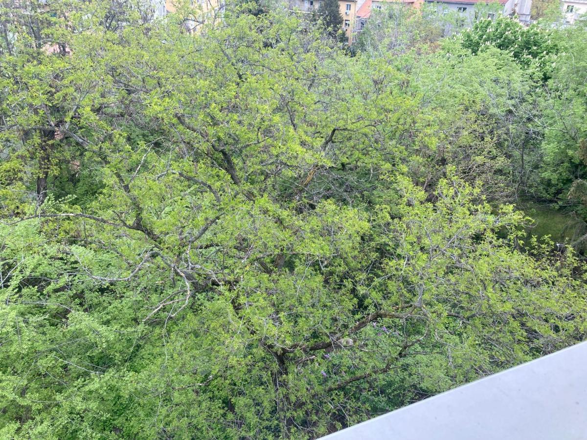 Roland Apartment - Puskas Budapest Kültér fotó